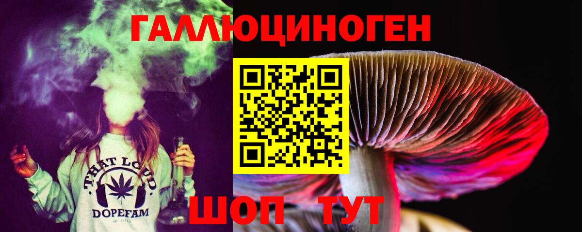Каменск-Шахтинский  как найти закладки  Вход с VPN  Псилоцибиновые грибы Cubensis 